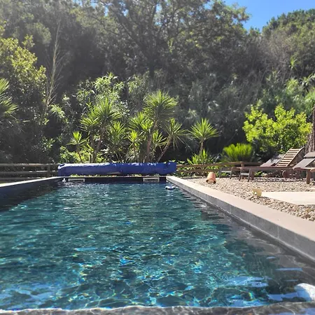Apartamento Bambou Serenite Eco Logis -piscine-terrasse