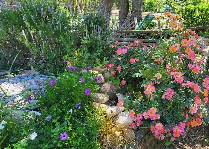 Bambou Serenite Eco Logis -piscine *