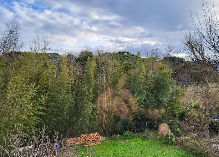 Bambou Serenite Eco Logis -piscine Διαμέρισμα *