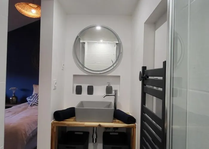 Bambou Serenite Eco Logis -piscine Daire Elne