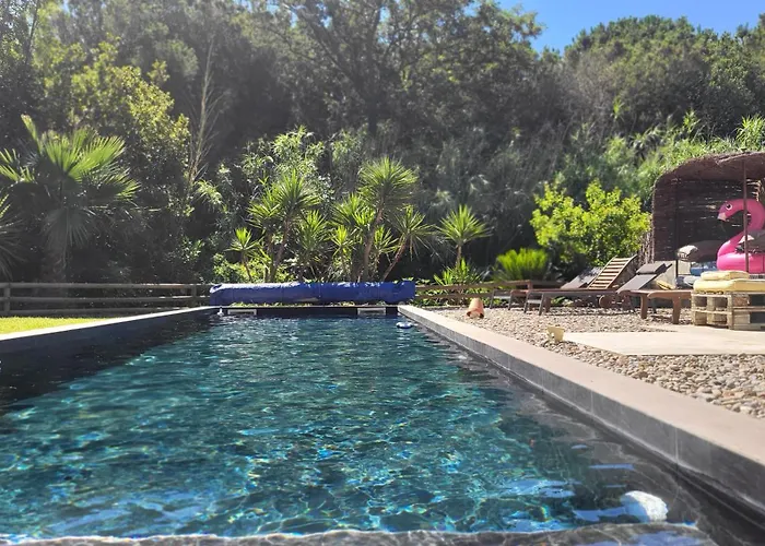 Daire Bambou Serenite Eco Logis -piscine